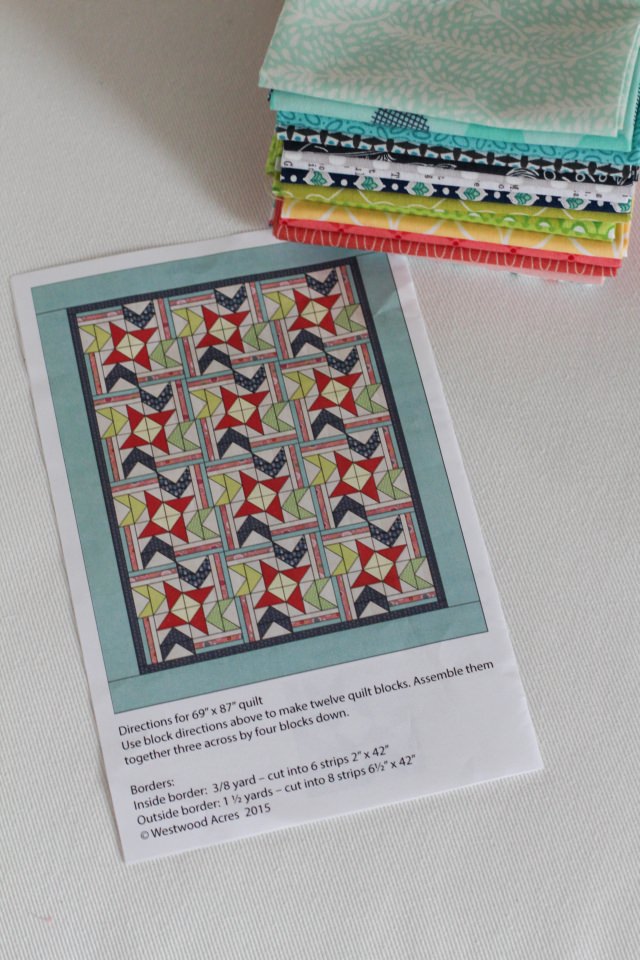 I want her Stash_Diary of Quilter Pattern